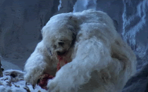 Yeti